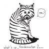 What\'s up, Vendemmian?